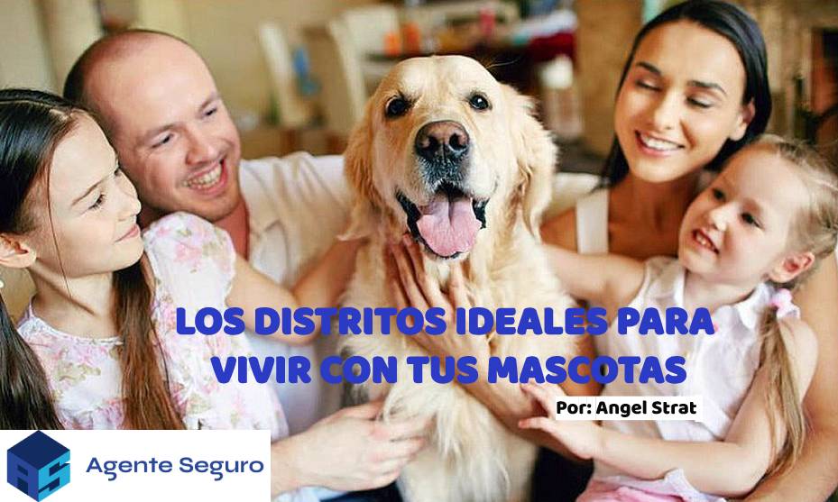 Distritos ideales para vivir con tus mascotas